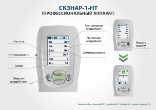 СКЭНАР-1-НТ (исполнение 01)  в Чебоксаре купить Нейродэнс ПКМ официальный сайт - denasdevice.ru 